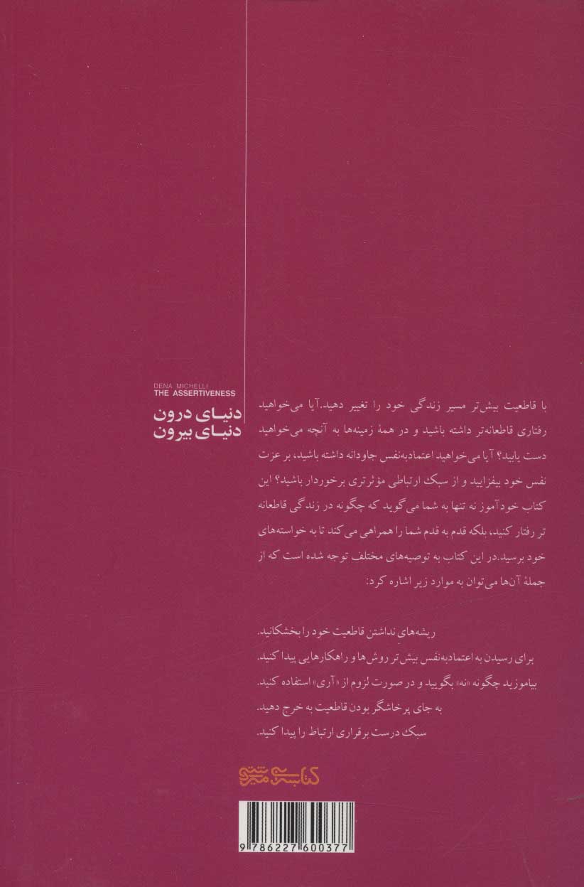 کتاب دنیای درون دنیای بیرون نشر میردشتی نویسنده دنا میکلی مترجم مهدی قراچه داغی جلد شومیز قطع رقعی