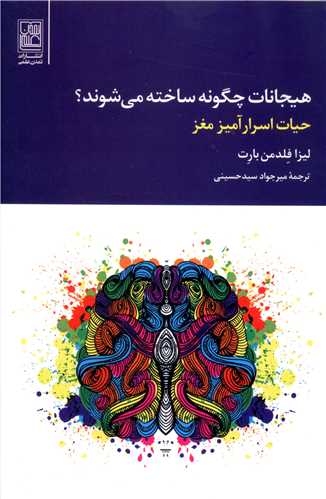 کتاب هیجانات چگونه ساخته می شوند نشر تمدن علمی نویسنده لیزا فلدمن بارت مترجم میرجواد سید حسینی جلد شومیز قطع رقعی