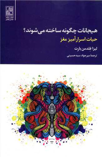 کتاب هیجانات چگونه ساخته می شوند نشر تمدن علمی نویسنده لیزا فلدمن بارت مترجم میرجواد سید حسینی جلد شومیز قطع رقعی