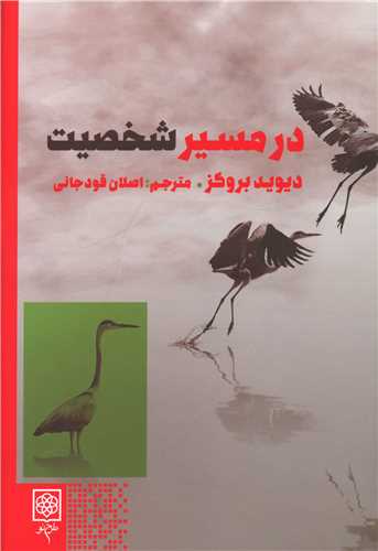 کتاب در مسیر شخصیت نشر طرح نو نویسنده دیوید بروکس مترجم اصلان قودجانی جلد گالینگور قطع رقعی